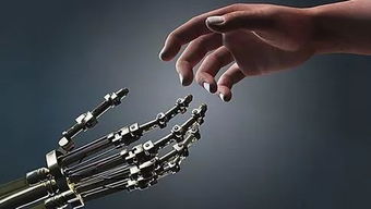 人工智能赋能教育改革 公共服务平台技术咨询服务的核心价值与实践路径